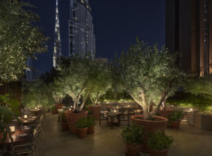 Outdoor dining decorated with potted trees