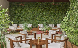 Lounge area with garden wall and potted plants