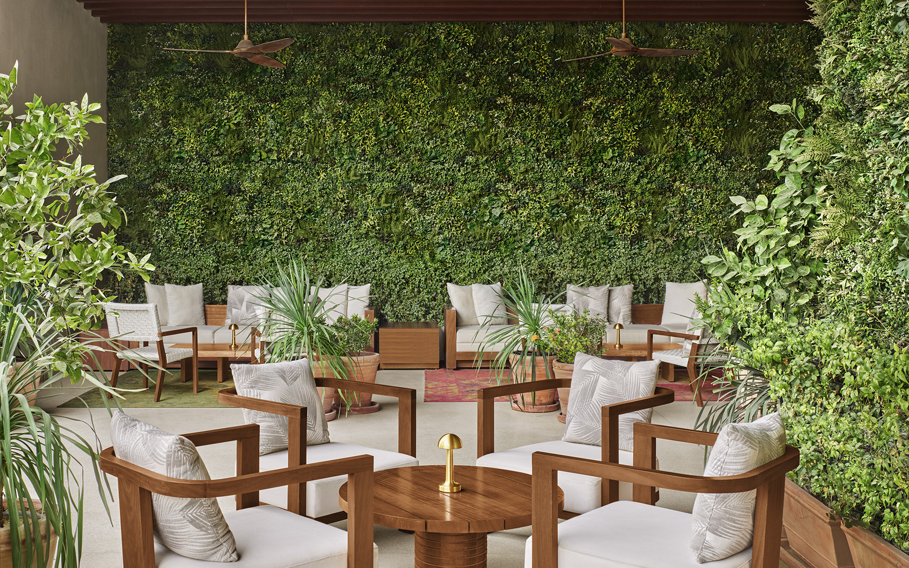 Lounge area with garden wall and potted plants