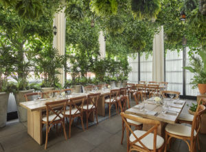 Reception space with overhead garden